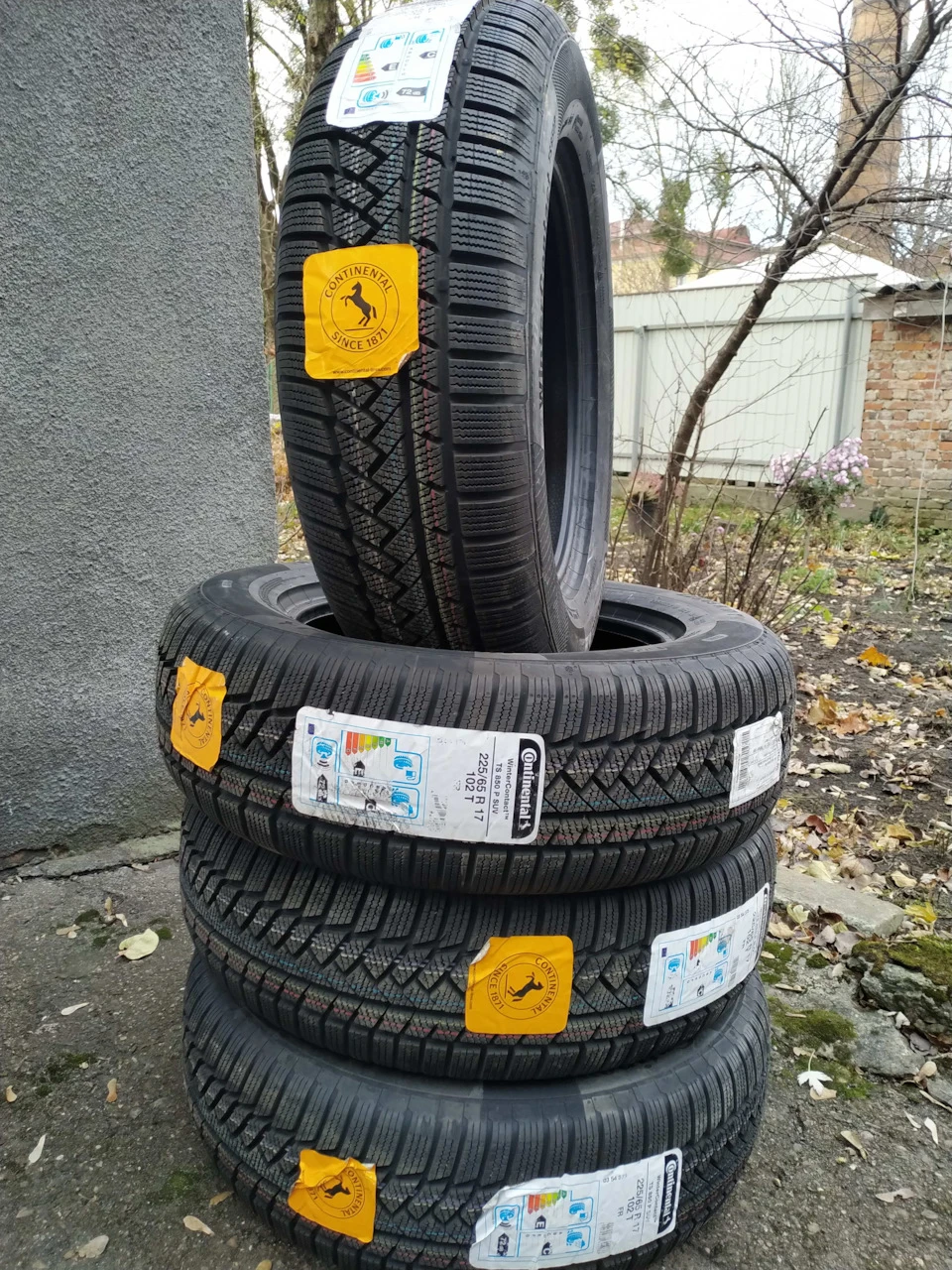 Тапки на зиму
