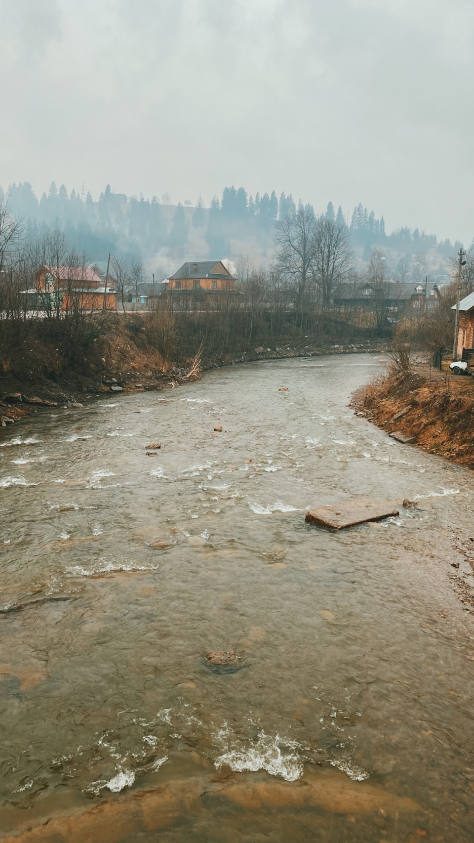 Карантинні Хроніки. Карпати 5
