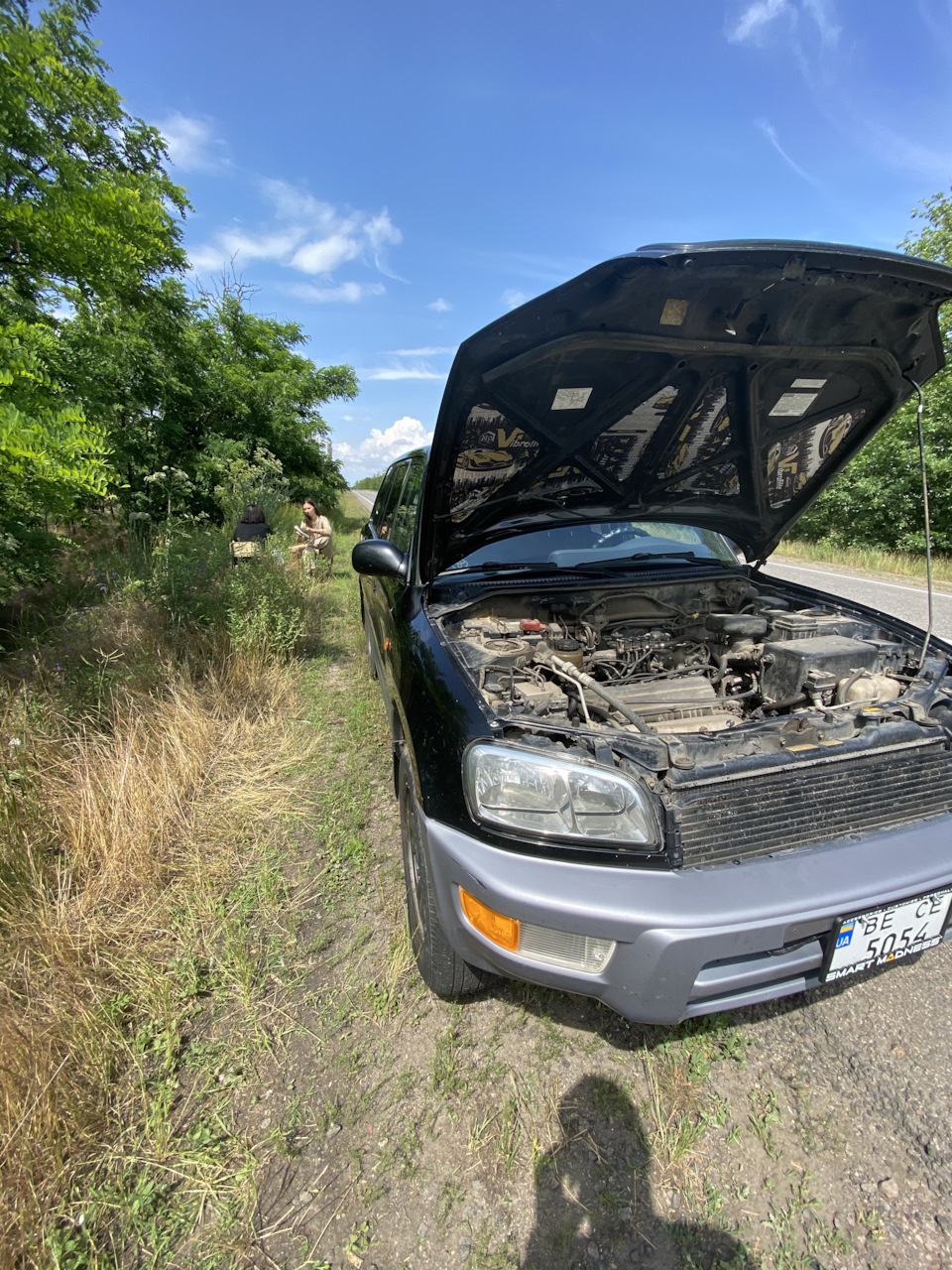 Пікнік біля узбіччя 1