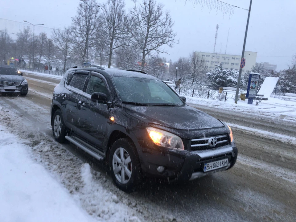 Пережили зиму. Відгук