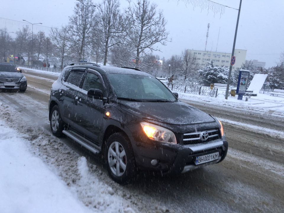 Пережили зиму. Відгук 1