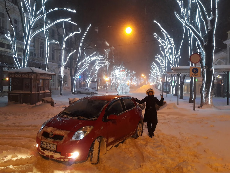 Котики люблять Yaris :) 3