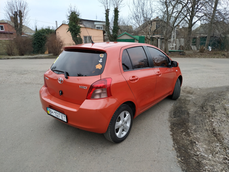 Продаю жужика /////Продан/////// 4