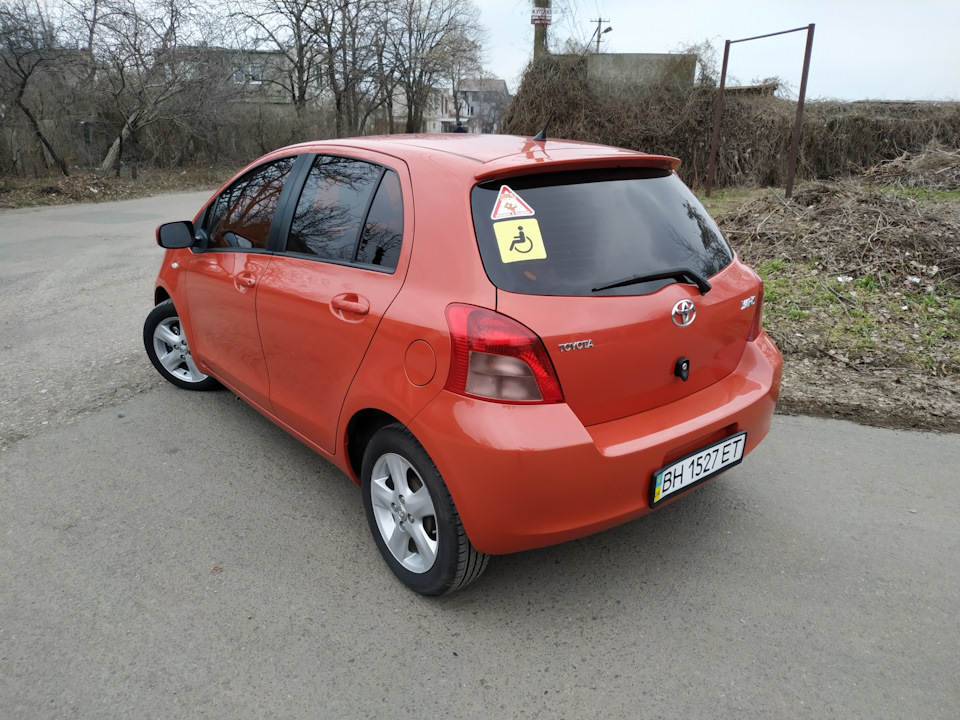 Продаю жужика /////Продан/////// 3