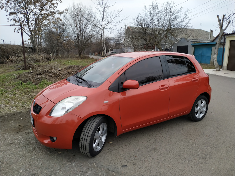 Продаю жужика /////Продан/////// 1