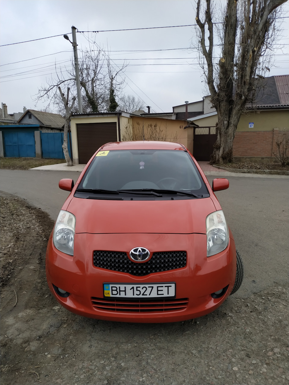 Продаю жужика /////Продан/////// 2