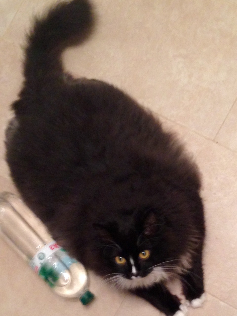 Невеликий ребілд підвіски! 5