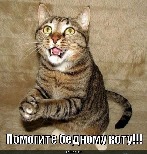 Замовив подарунки ШКЕТУ 1