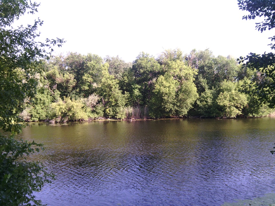 на донці 4