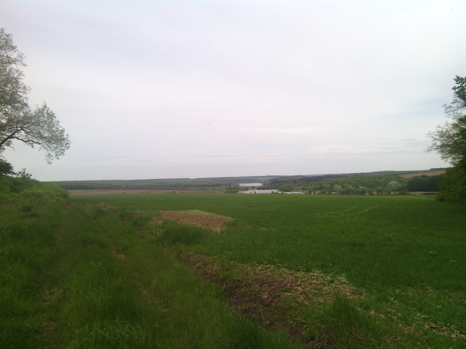 розгалуження 5
