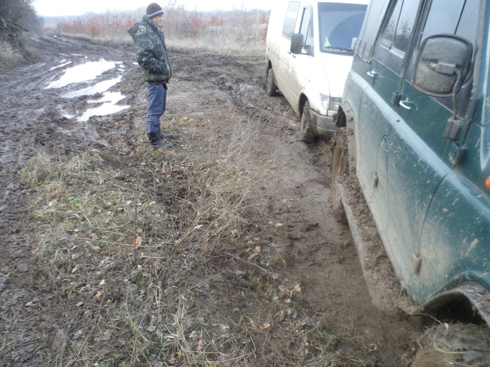 зима зима а снігу немає 3