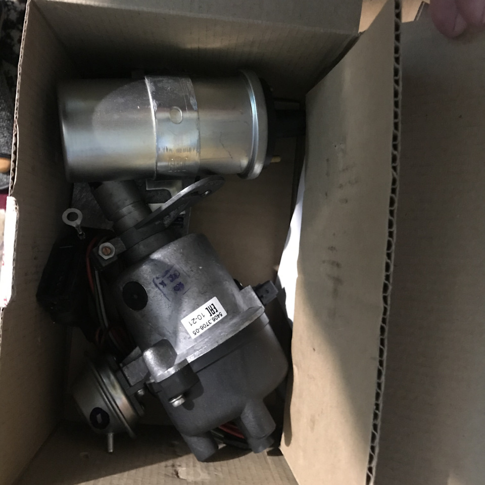 Бсз на вазку або новорічний подарунок 🎁 2