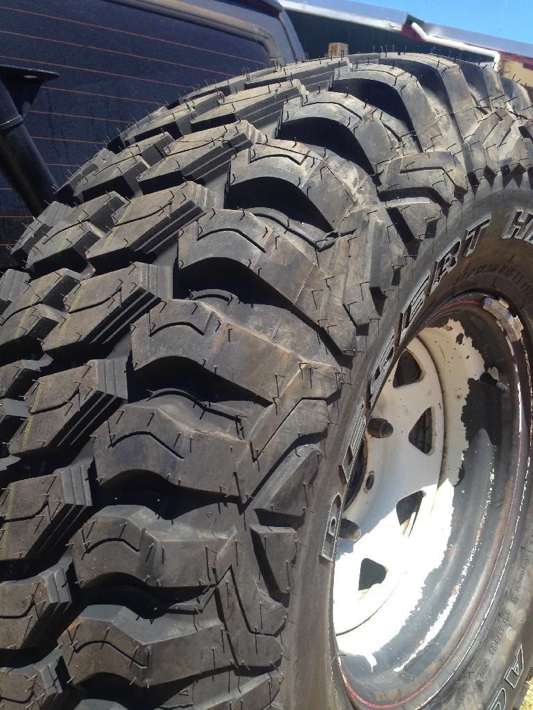 Safari 500 vs Achilles desert hawk xmt 2
