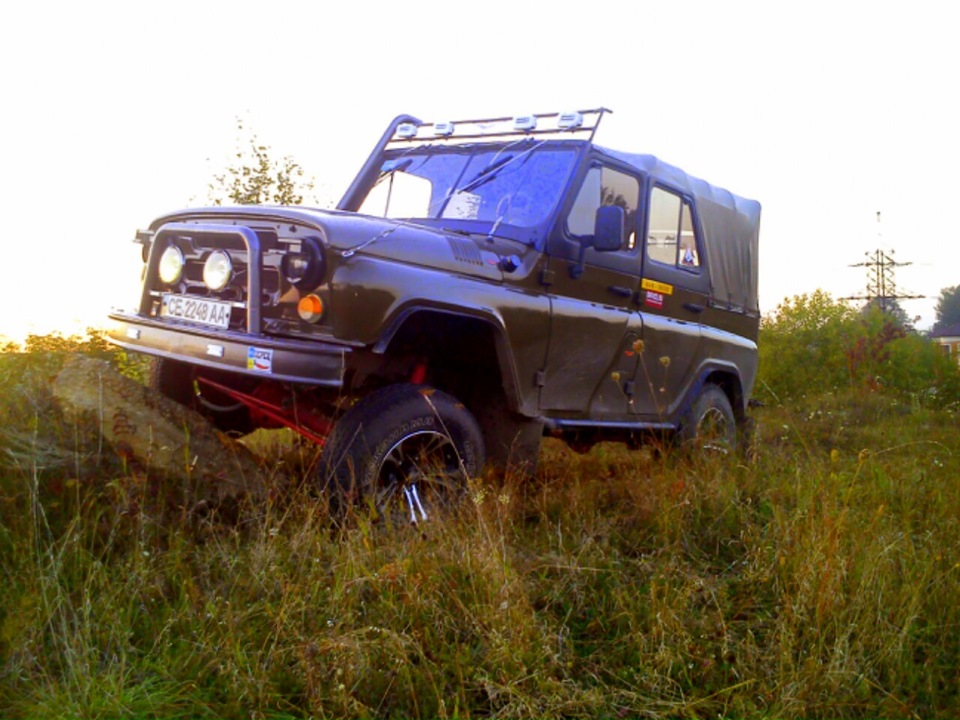 Грибів ще немає. 3