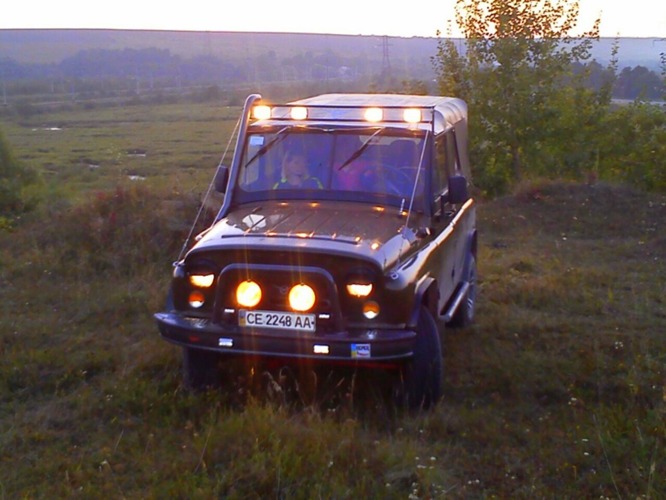Грибів ще немає. 1