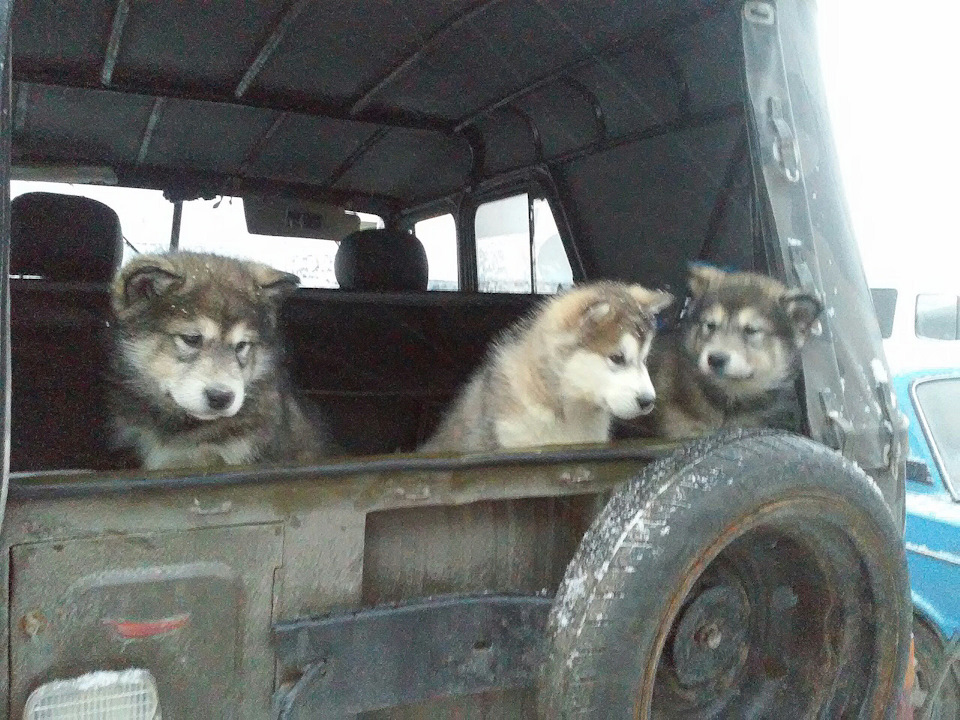 Ні про що 😯… 3