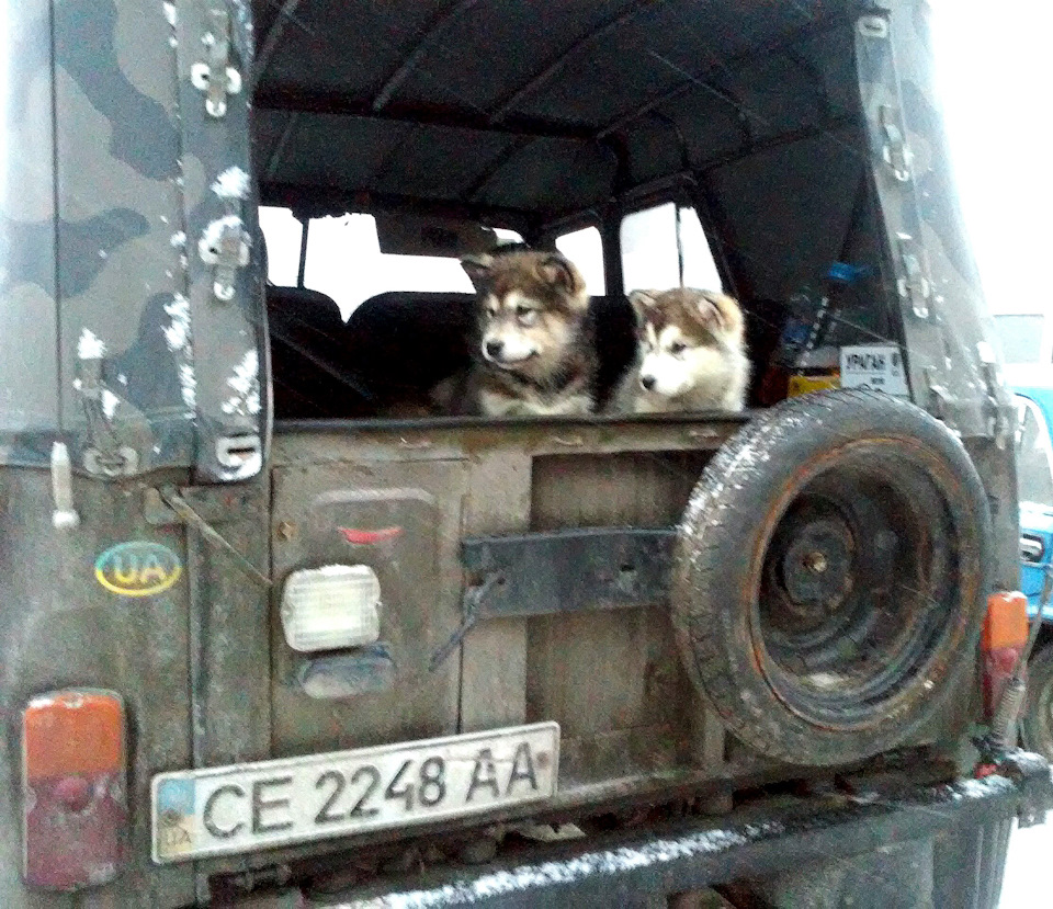 Ні про що 😯… 4
