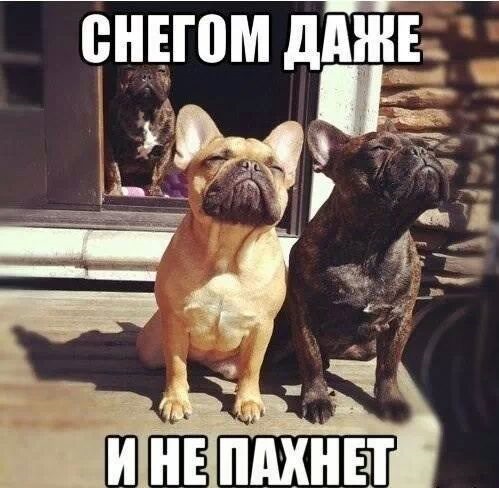 З Новим Роком! 4