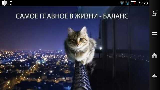 спасибо ВАМ! 4
