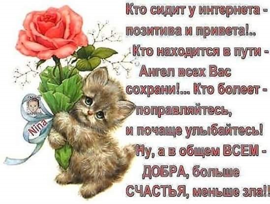 Тент-камуфляж. 5