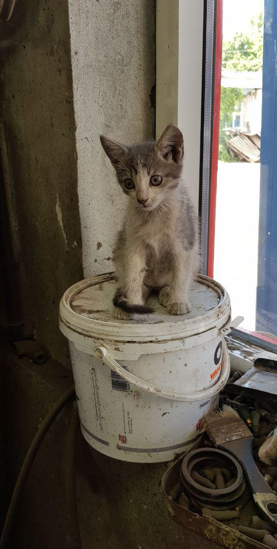 Корида з шиномонтажем 1