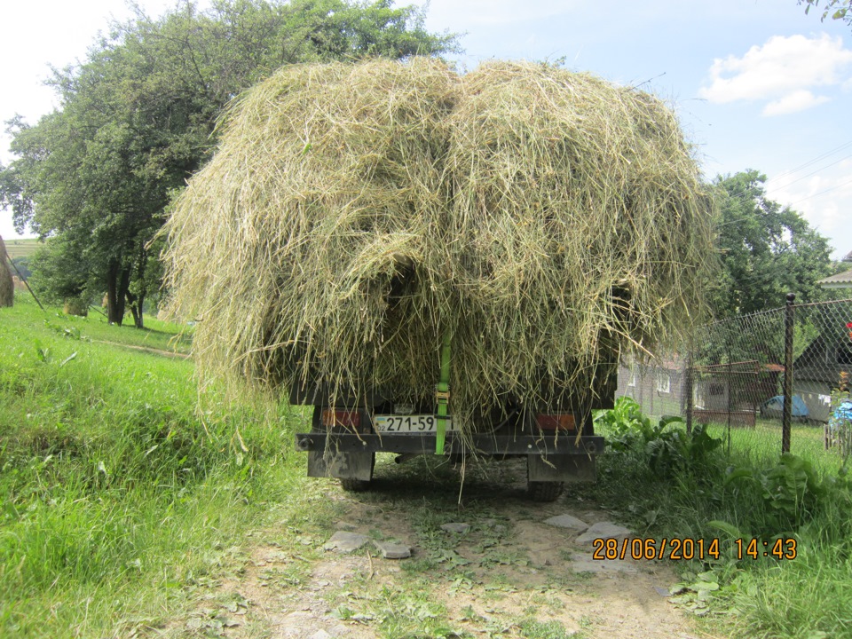 Трудові будні 2)))) 3