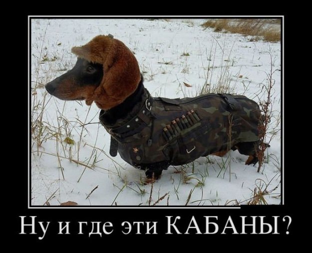 Потрібна порада 1
