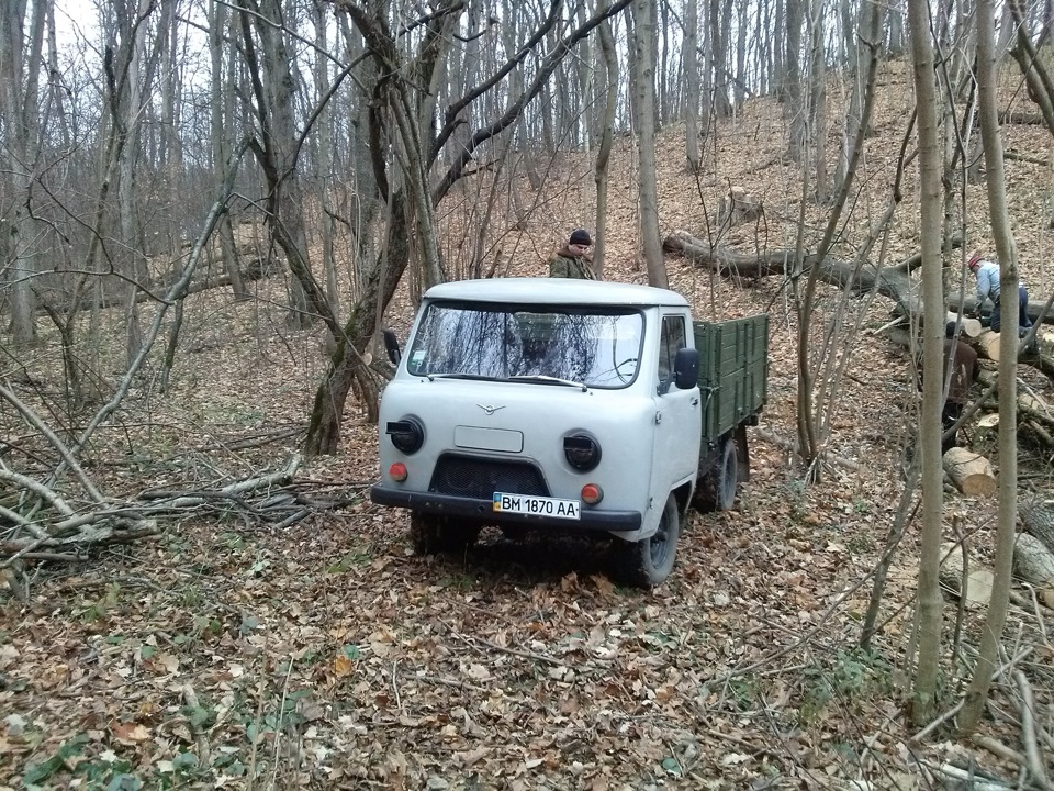 Виїзд у ліс за дровами 2