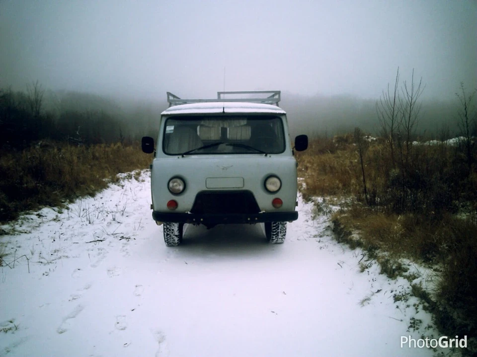 Їжачок у тумані, завантажений дровами™