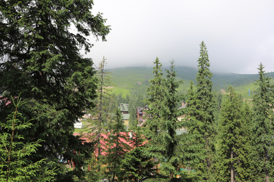 55. Карпати. 1