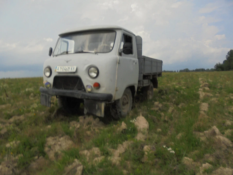 Гриби