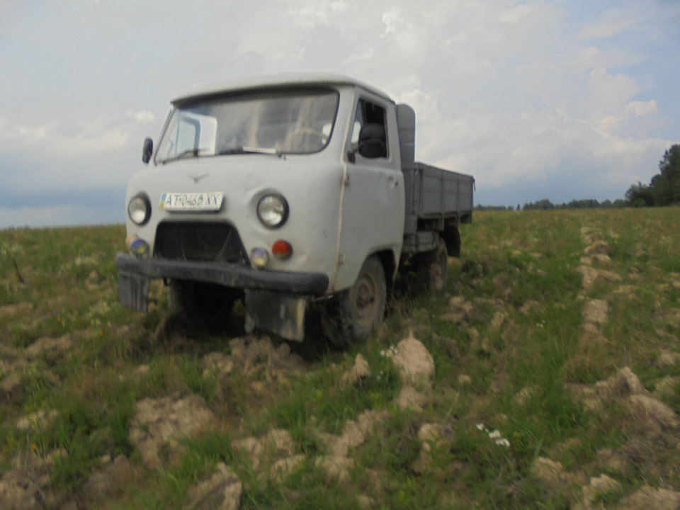 Гриби 1