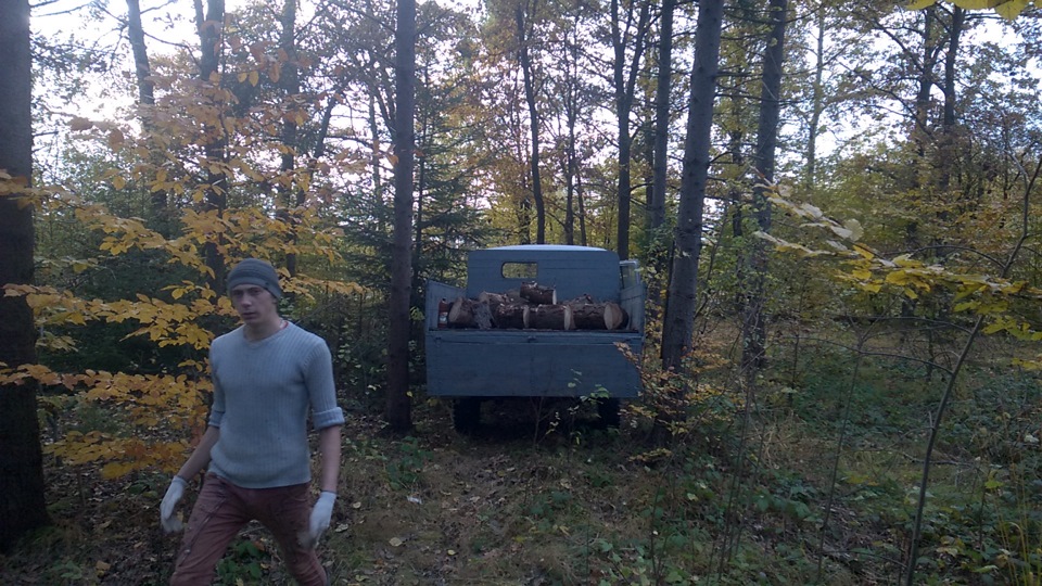 Ліс... 4