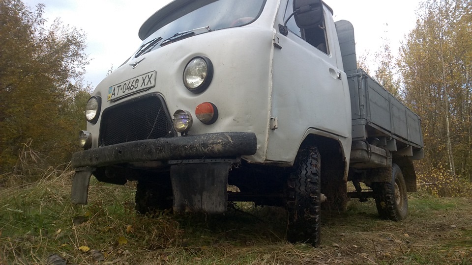 Ліс... 5