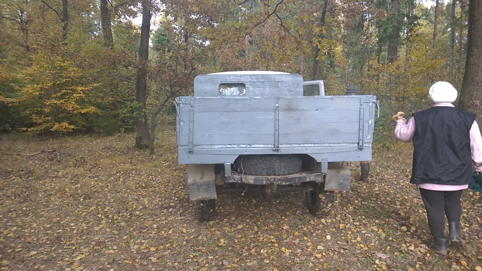 Ліс... 3