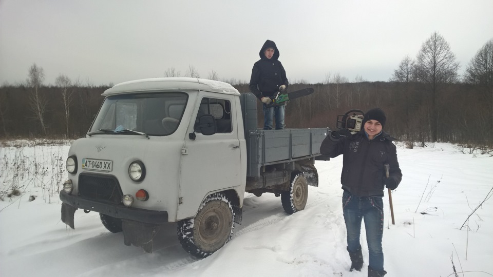 Ліс, дрова і тп 1