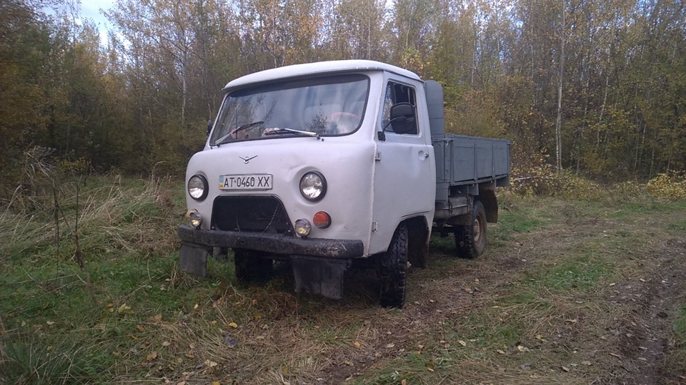 Ліс... 1