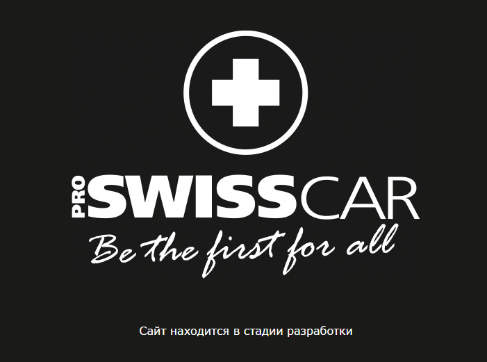 # 29 Немає часу чекати, ремені для Бессі 5