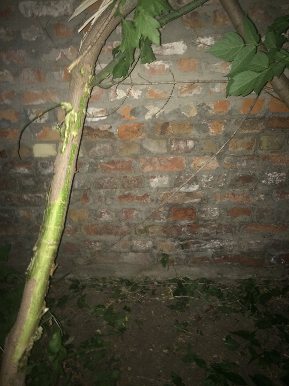 Справу було ввечері робити було дох*я 3