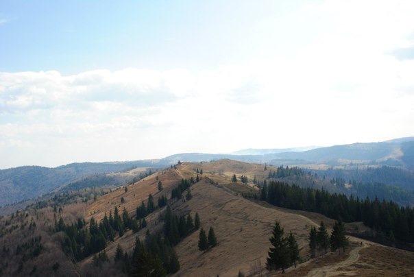 Віїзд 22.03.2014 5