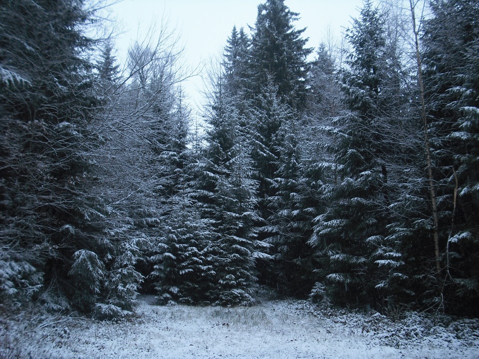 Зимовий виїзд 01.12.2013 2