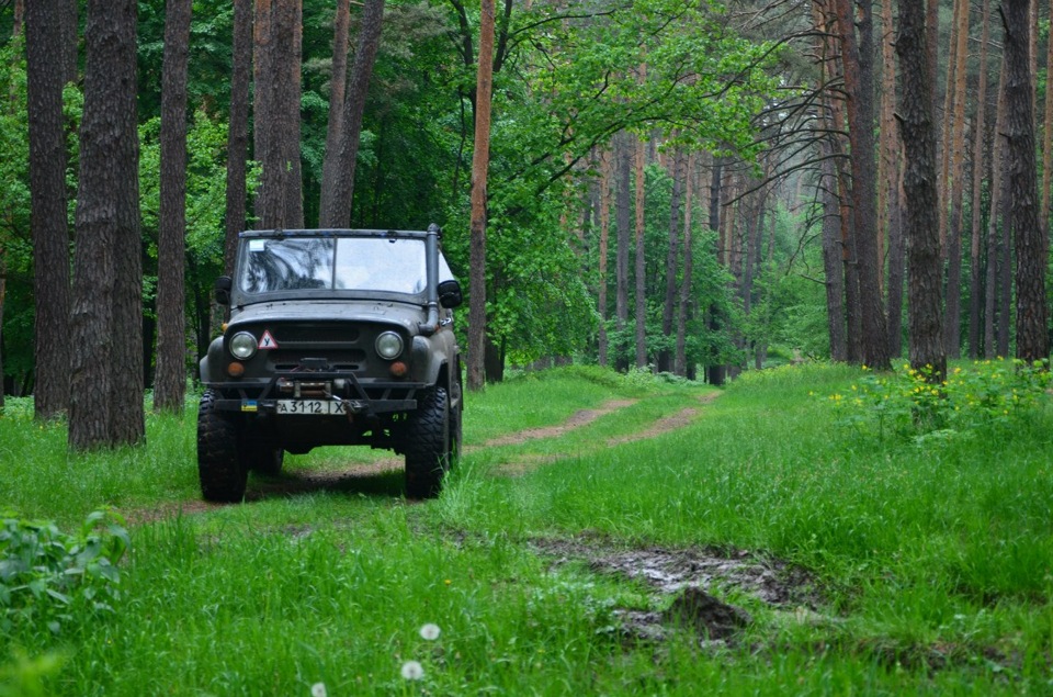 Фотки у лісі. 2