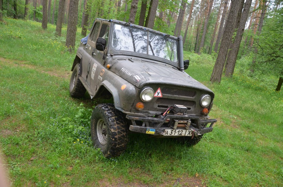 Фотки у лісі. 1