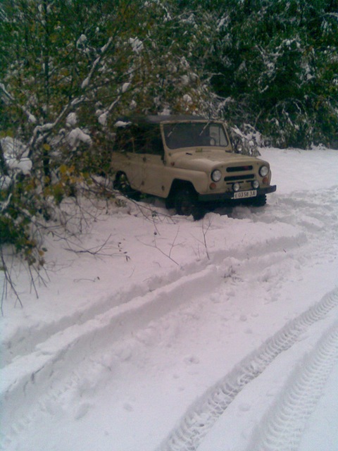 Перший сніг... 5