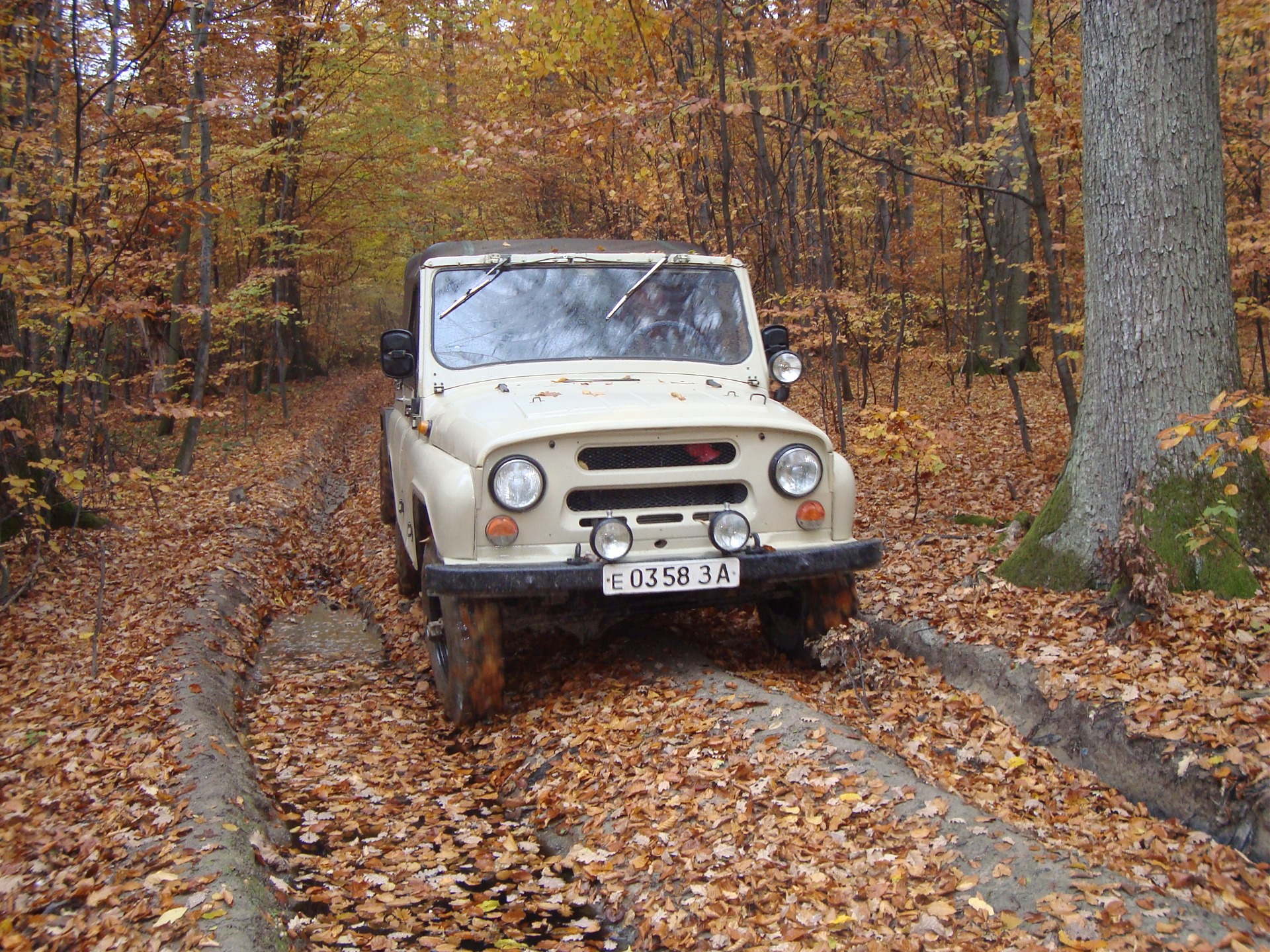 УАЗ-Осінь 5