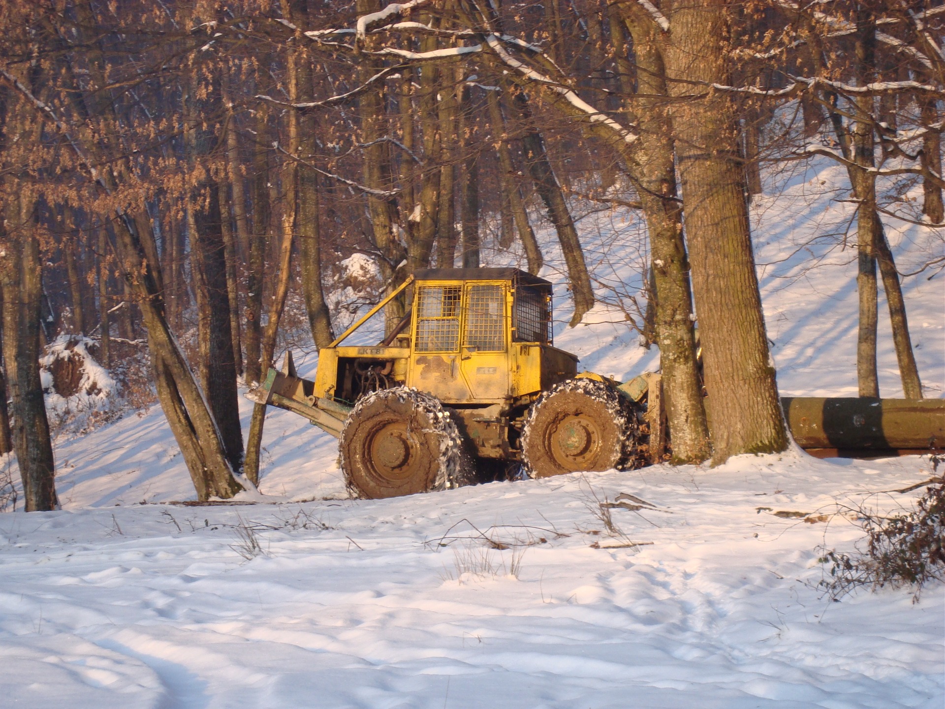 Winter time 3