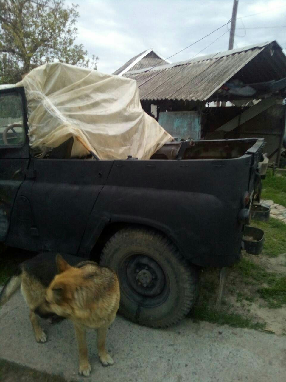 Ще трохи фоток 3