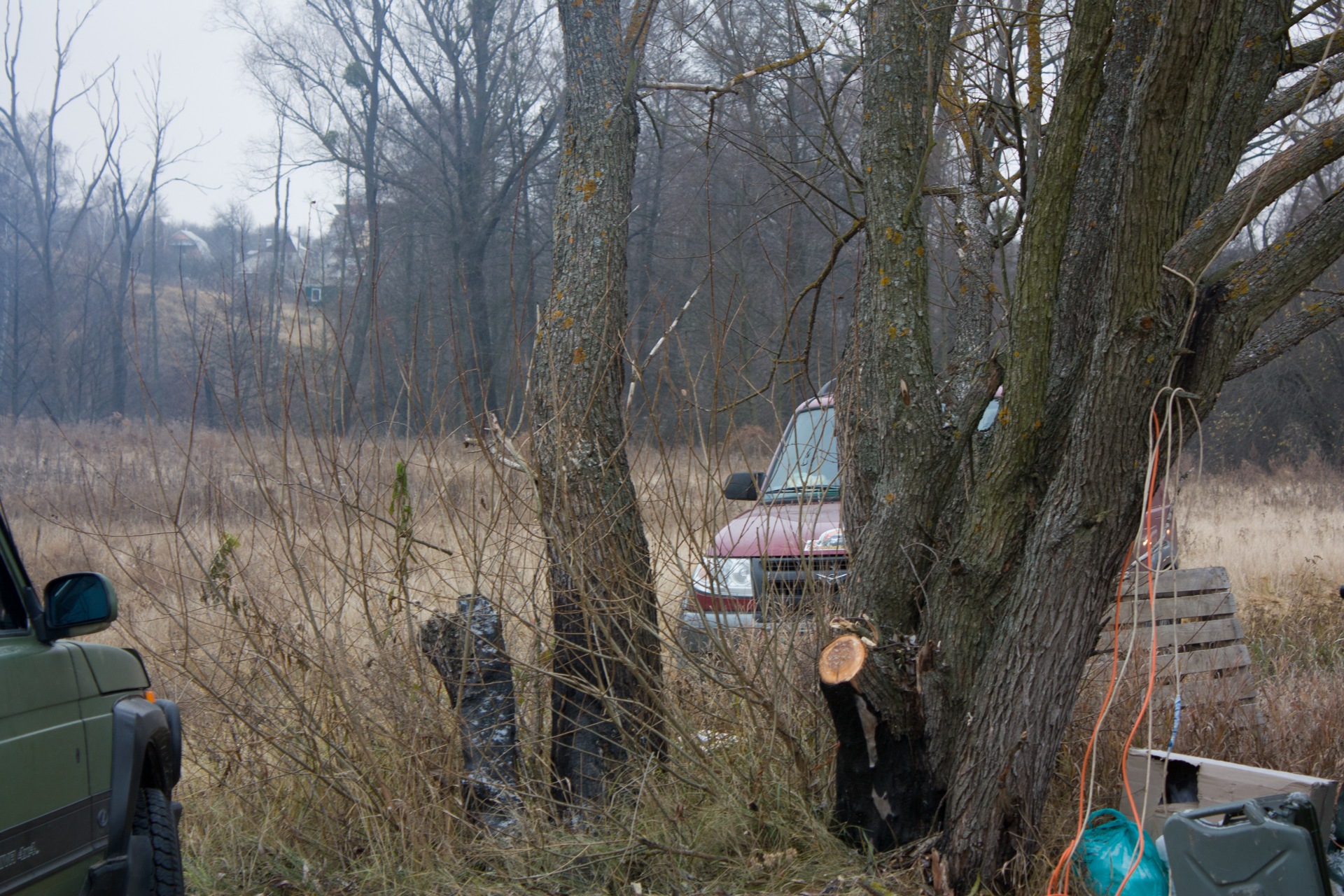 Гаплик фото ч.2 4