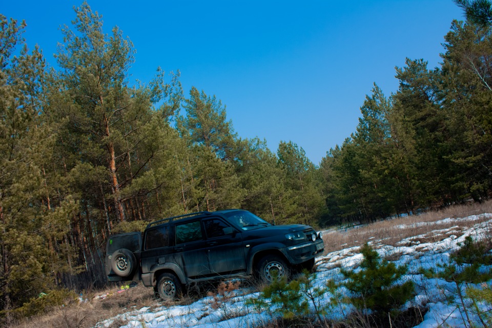 Прогулянка до лісу 4