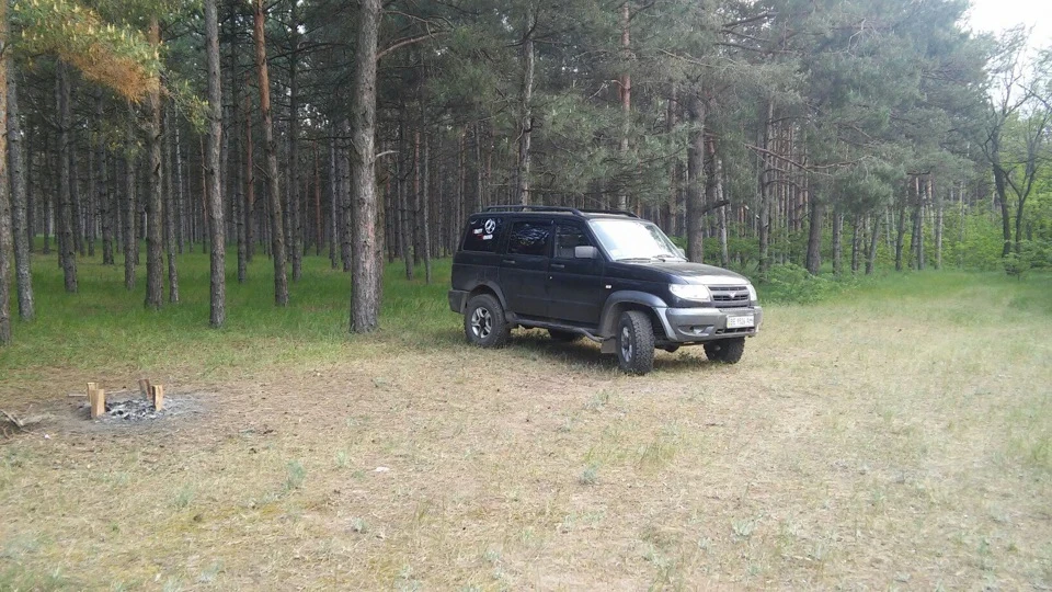 Виїхали на природу Ташкентський ліс